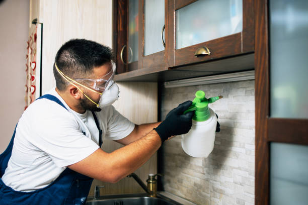 Best Affordable Pest Control Services  in Washington Park, FL