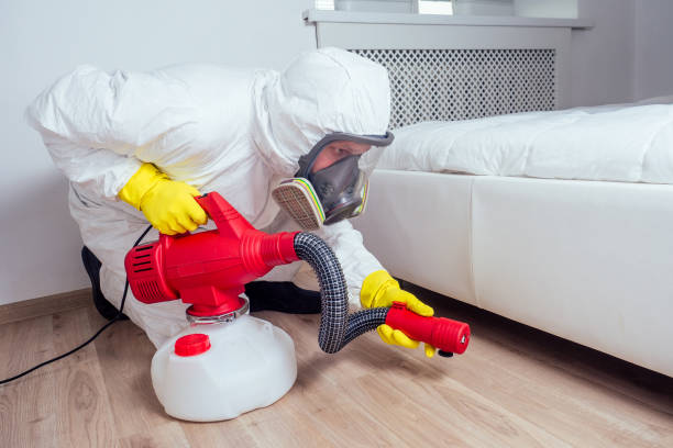 Best Pest Control Treatment  in Washington Park, FL