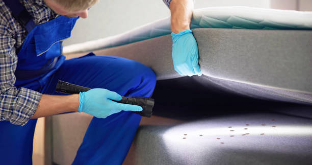 Best Residential Pest Control  in Washington Park, FL