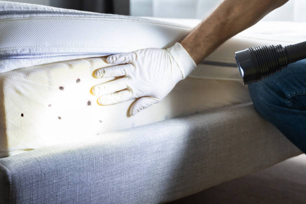 Best Cockroach Control Services  in Washington Park, FL