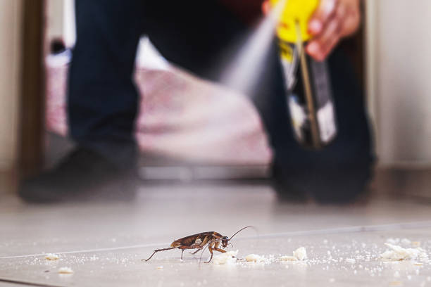 Best Local Pest Control Services  in Washington Park, FL
