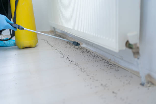 Best Emergency Pest Control  in Washington Park, FL
