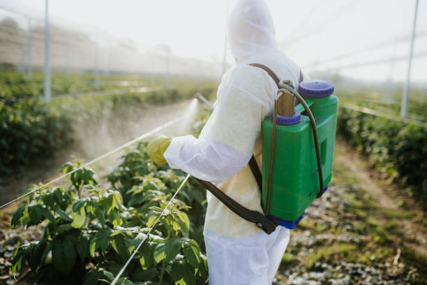 Best Cockroach Control Services  in Washington Park, FL